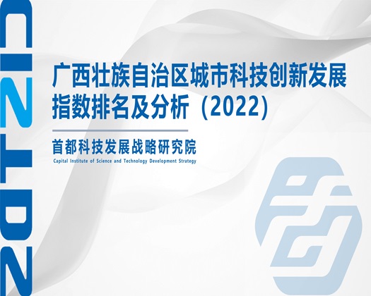 大几把操我小骚逼视频【成果发布】广西壮族自治区城市科技创新发展指数排名及分析（2022）